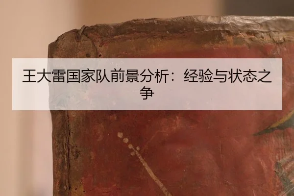 wang-da-lei-guo-jia-dui-qian-jing-fen-xi-jing-yan-yu-zhuang-tai-zhi-zheng-2-703.jpg